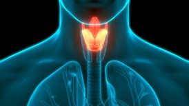 Causas da Garganta Irritada