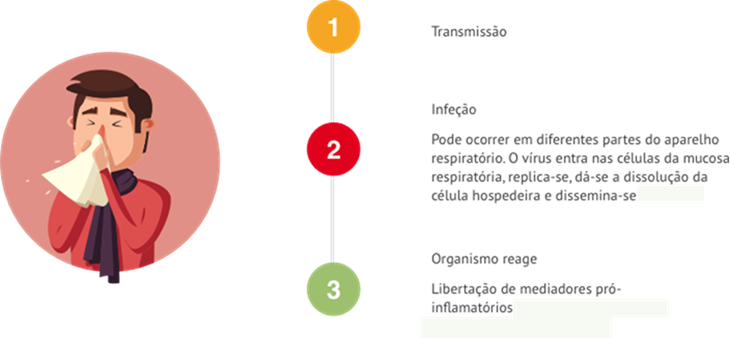 Período de Incubação - Constipações